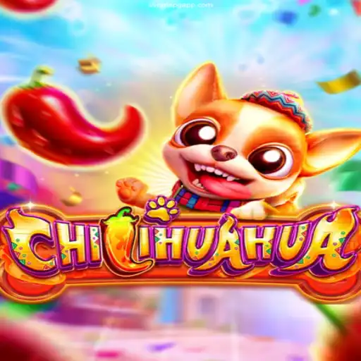 Exploring CHILIHUAHUA: A New Sensation in Online Gaming